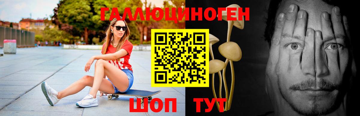 Псилоцибиновые грибы Magic Shrooms Гусиноозёрск